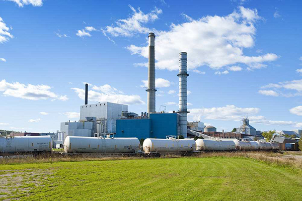 中山(shān)聯合鴻興造紙(zhǐ)